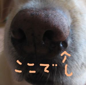 b0008217_1451313.jpg