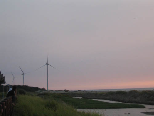 f0161318_055852.jpg