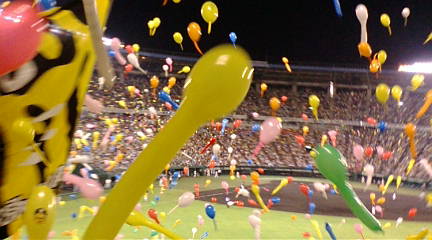 b0109220_90373.jpg