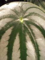 e0127926_14592217.jpg