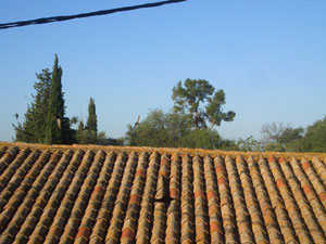 d0008832_14382546.jpg