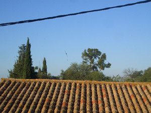 d0008832_14383356.jpg