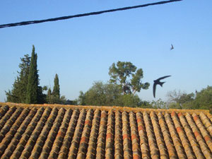 d0008832_14384216.jpg