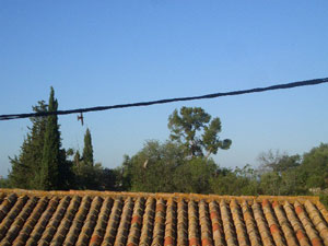 d0008832_14385646.jpg