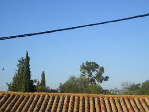 d0008832_14392847.jpg