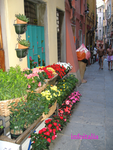 c0077533_2038575.jpg