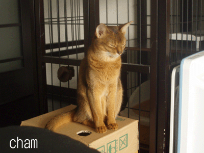 c0132438_2305225.gif