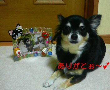 c0121141_0244729.jpg