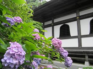 c0145250_1316620.jpg