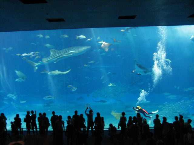 c0138553_0563623.jpg