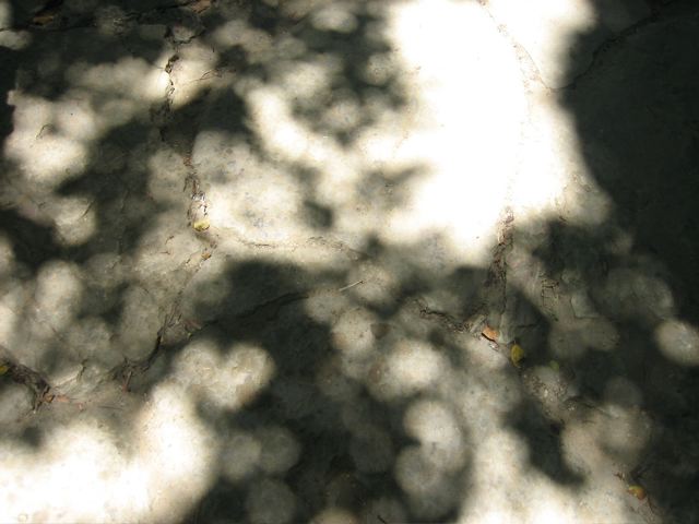 c0138553_12417.jpg