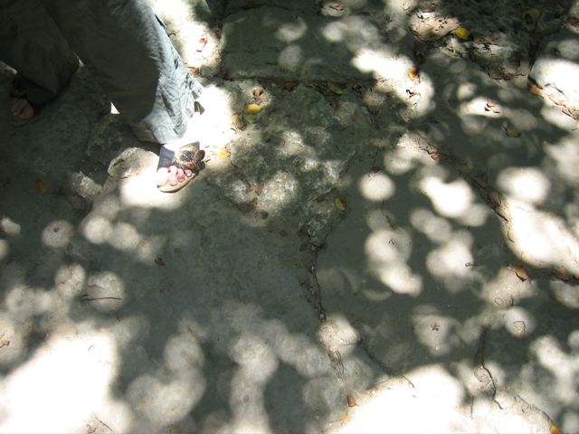 c0138553_1245058.jpg