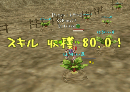 c0142956_2231994.gif