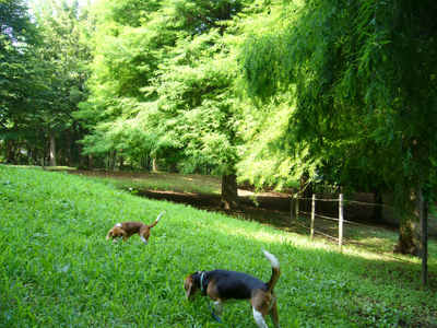 b0045357_9503686.jpg