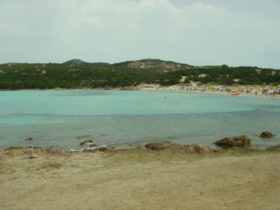 c0102268_256106.jpg