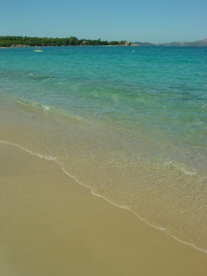 c0102268_324725.jpg