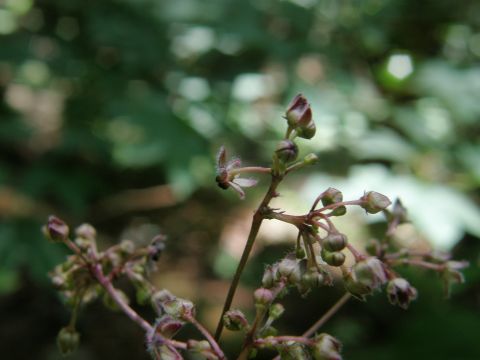 c0042869_20115941.jpg