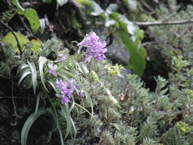 c0042869_20175997.jpg