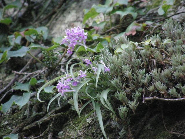 c0042869_2018182.jpg