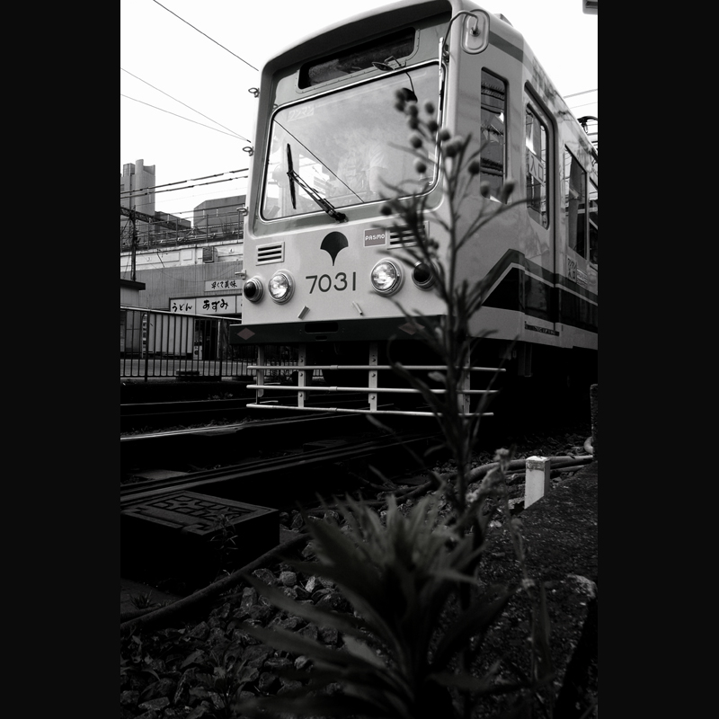 c0118173_19561765.jpg