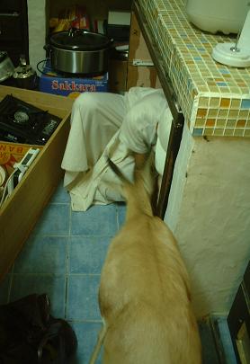 e0066474_2334138.jpg