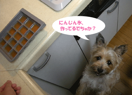 e0066883_21374535.gif