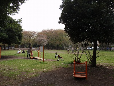 c0105785_1051058.jpg