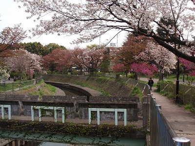 c0105785_9404434.jpg
