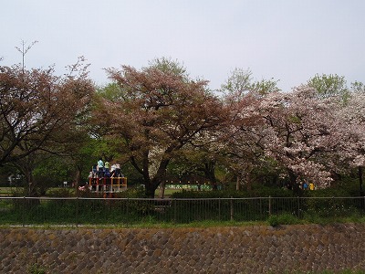 c0105785_9504944.jpg