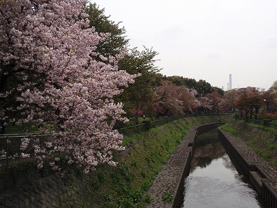 c0105785_9592823.jpg