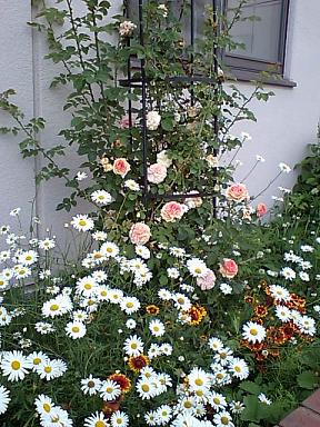f0075087_21394839.jpg