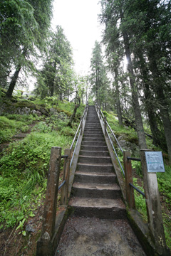 b0109289_16443212.jpg