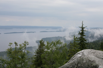 b0109289_16462443.jpg