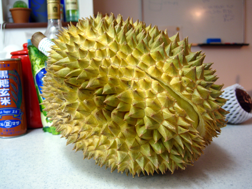 ドリアン, a durian fruit