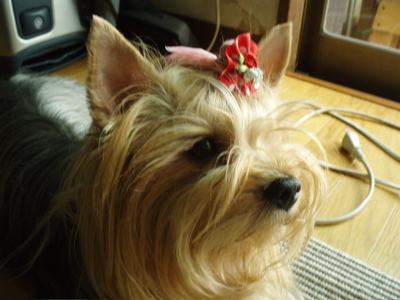 f0130894_20231057.jpg