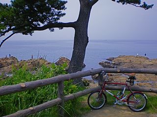 d0010496_20221326.jpg