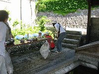 e0122199_239468.jpg