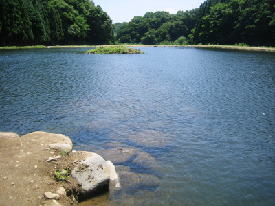 d0026200_0183566.jpg