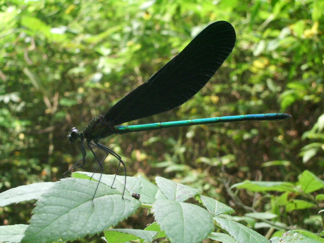 e0025300_2117565.jpg
