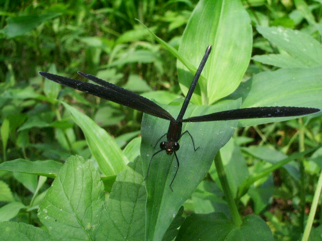 e0025300_21181248.jpg