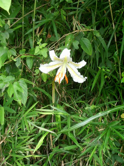 e0025300_21245297.jpg