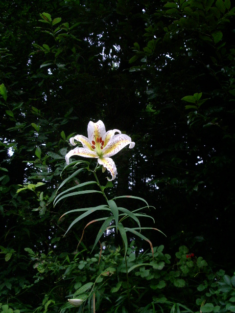 e0025300_2127533.jpg