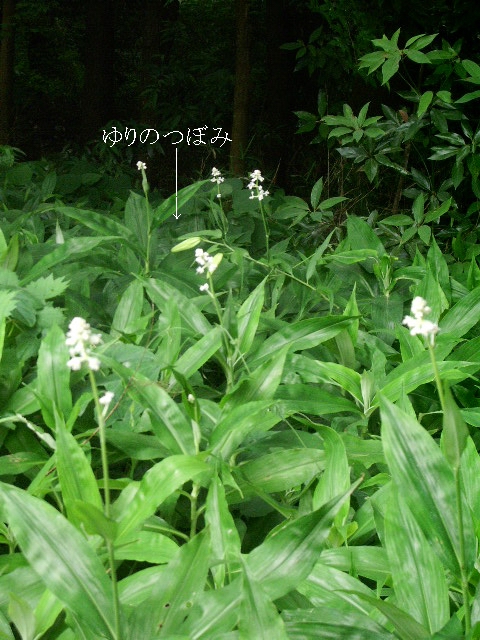 e0025300_21543461.jpg