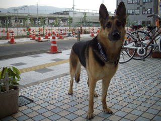 d0110904_1243038.jpg