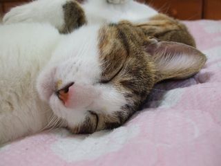 c0103205_206322.jpg