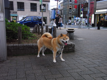 c0139007_1231679.jpg