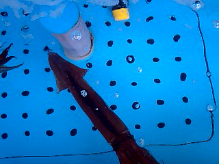 a0101715_1943515.jpg