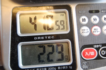 c0111017_206730.jpg