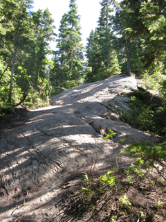c0156019_1632519.jpg
