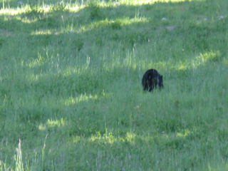 c0156019_1667100.jpg
